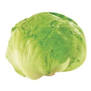 LECHUGA X KILO CENTRAL