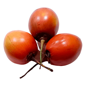 TOMATE DE ARBOL X KILO CENTRAL