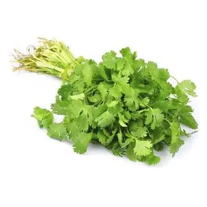 CILANTRO X KILO CENTRAL